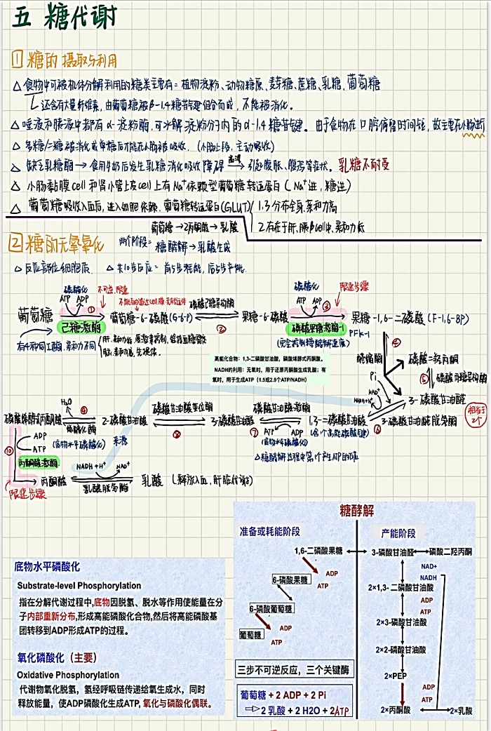 2138CC太阳集团