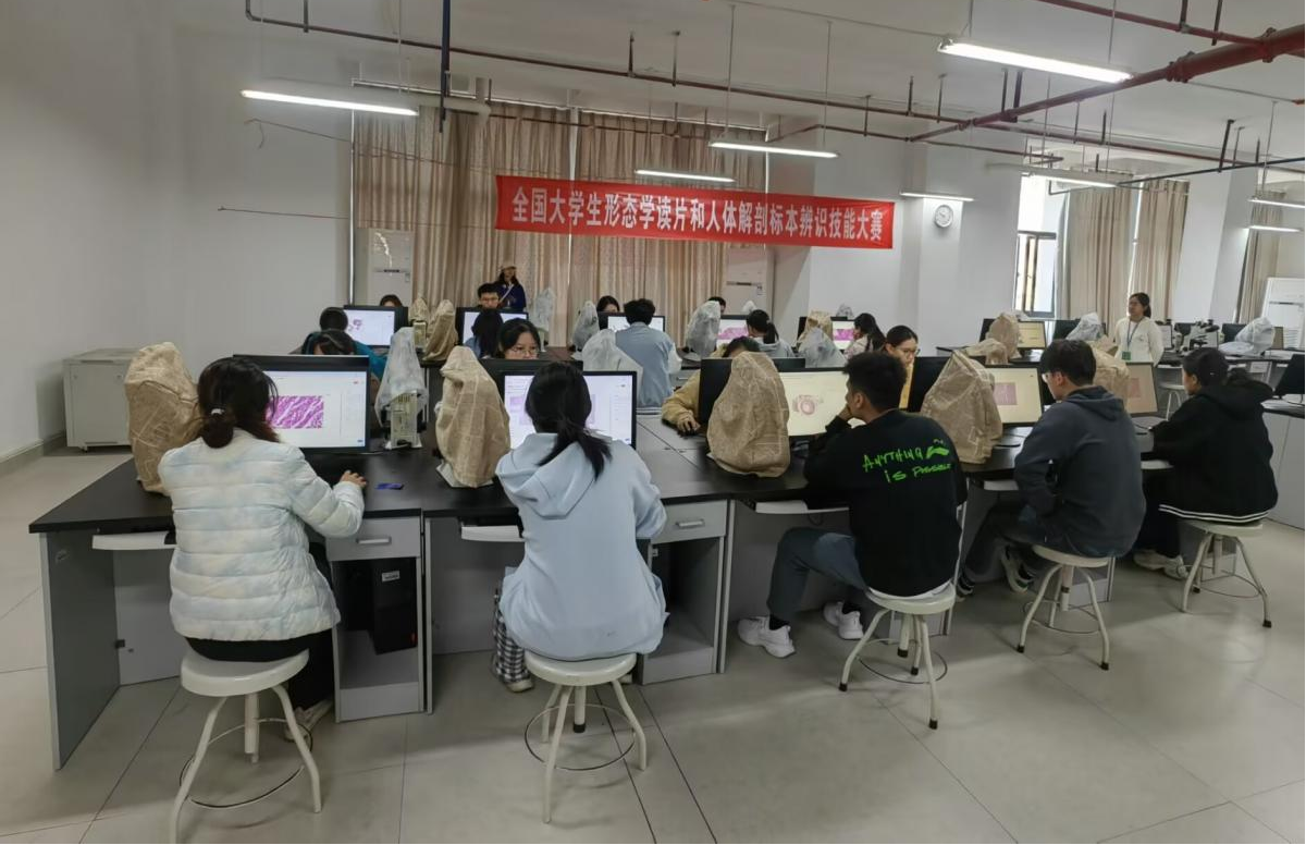 图片2.png 2138CC太阳集团
